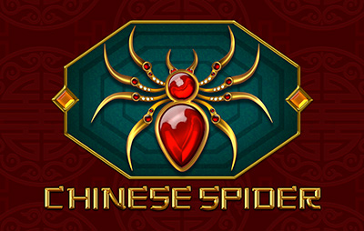 Chinese Spider